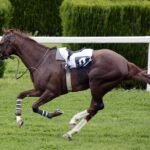 Consejos Para Apostar En Carreras De Caballos Con Grandes Favoritos Y Underdogs